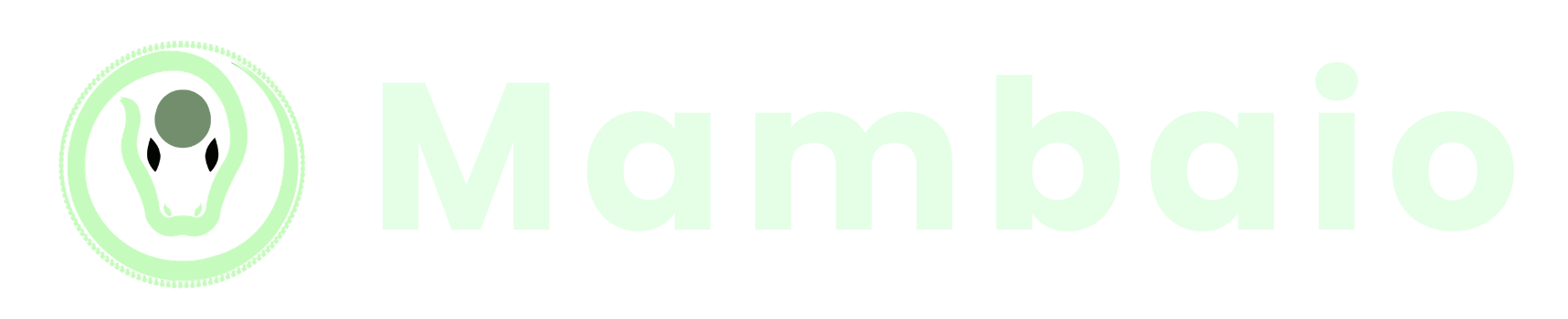 MambaiO
