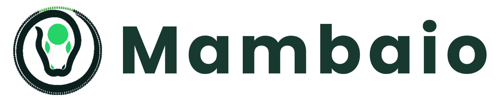 MambaiO
